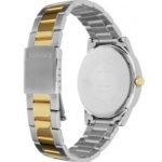 Correa MTP-1303SG-7AVE