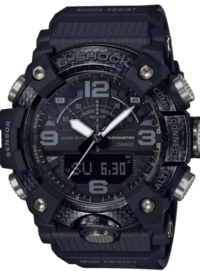 gg-b100-1ber