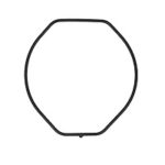 Back Seal GW-9110-1ER