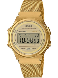 A171WEMG-9AEF Casio Retro Vintage