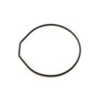 Back Seal BSA-B100-1AER