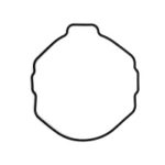 10500770 Back Seal SGW-1000-1AER