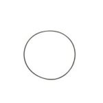 10477933 Back Seal Casio GPW-1000RD-4ER