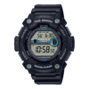 WS-1300H-1AVEF