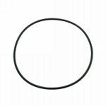 10421514 Back Seal Casio AMW-700