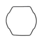 10134725 Back Seal WVA-430DE-1AV