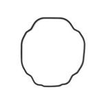 10078157 Back Seal Casio PRG-50-1V