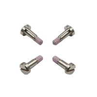10502707 Tornillo Decorativo Bezel GST-210D-1AER 10502707 Tornillo Decorativo Bezel GST-210D-1AER