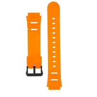 10592730 Correa Casio WS-1100H-4AVEF
