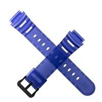 10592729 Correa Casio WS-1100H-2AVEF