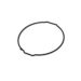 10606196 Back Seal GBX-100-1ER