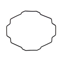 10588369 Back Seal GG-B100-1AER