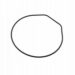 10500968 Back Seal STL-S300H-1AEF, STL-S300H-1BVEF, STL-S300H-1CEF, STL-S300H-4AEF