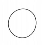 10391209 Back Seal Casio GST-W110-1AER