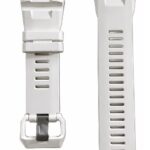 10677097 Correa Casio GBD-300-7ER