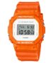 DW-5600WS-4ER